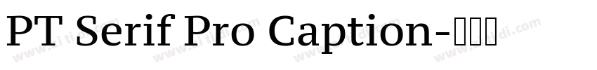 PT Serif Pro Caption字体转换